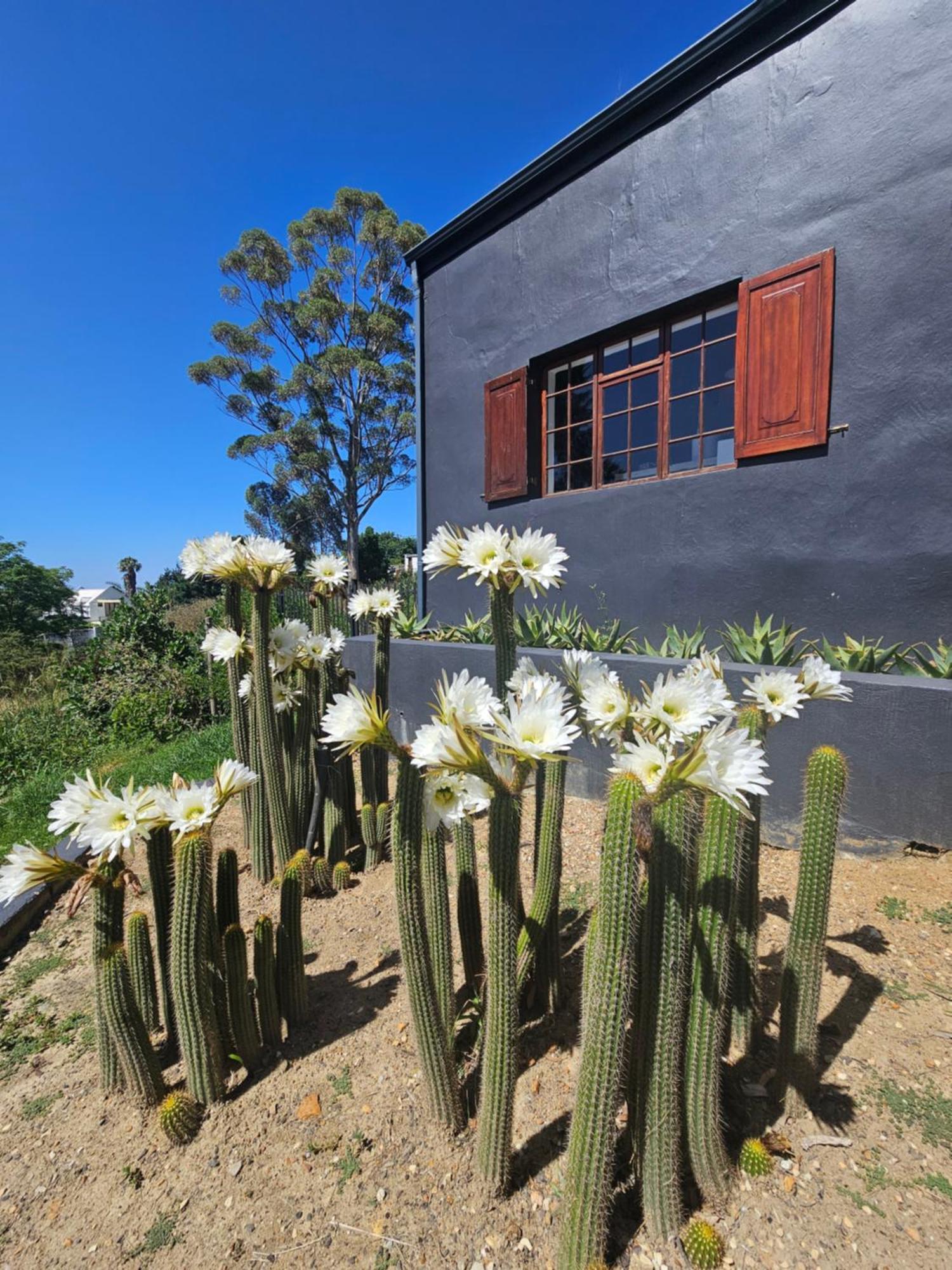 Villa The Retreat Swellendam Exterior foto